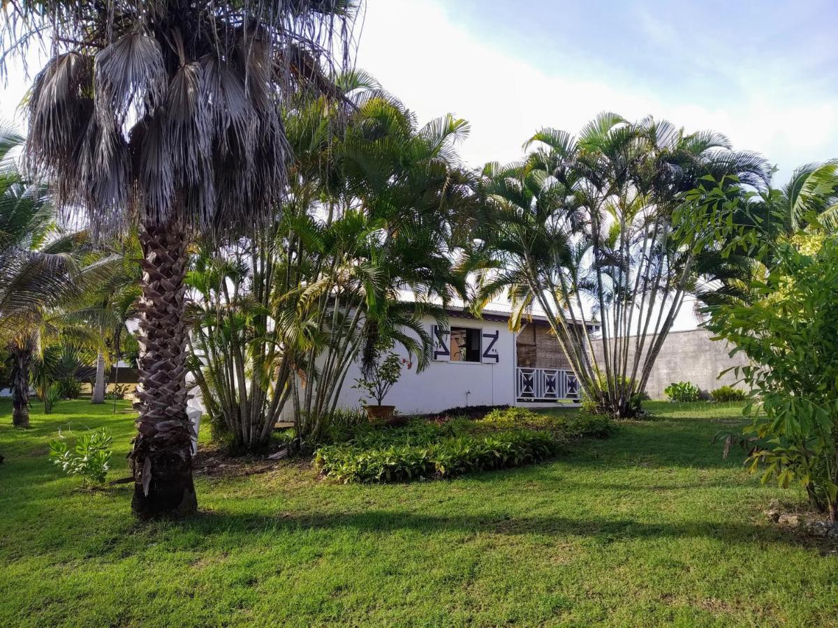 Villa & Bungalow Fleur De Coco ساينت آن المظهر الخارجي الصورة